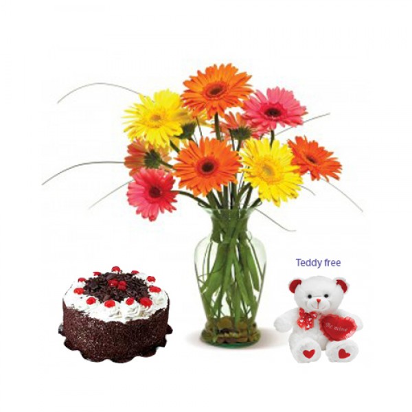 Send Flowers and Cake, Chocolates, Teddy, Soft Toys, Wine, Sweets, Dry