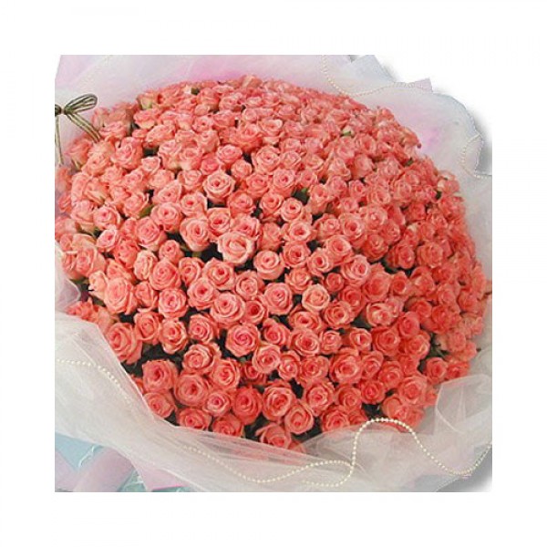 200 pink roses