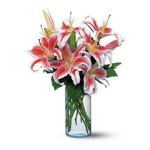 8 Pink Lilies vase