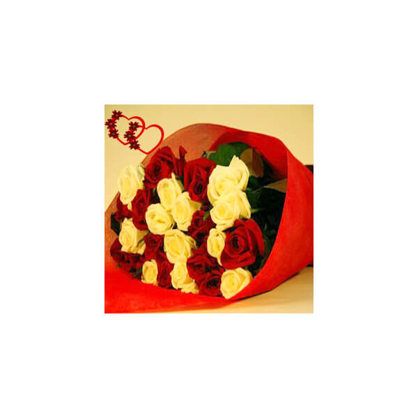 Valentine Roses Valentine Roses