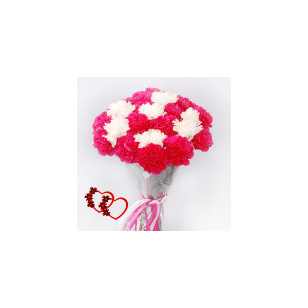 20 Carnations 20 Carnations