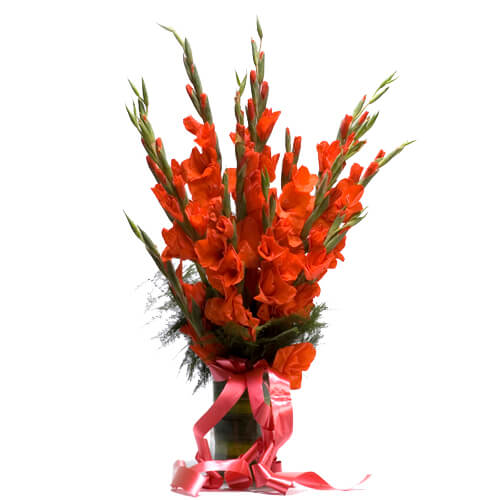 Online Flowers and Cake Delivery in India Send Gift to India