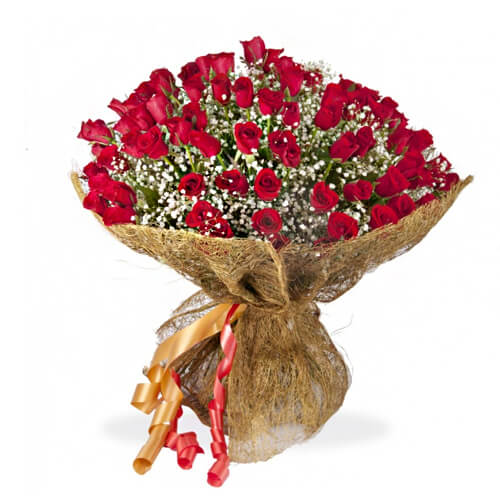 Rose Fiesta Rose Fiesta