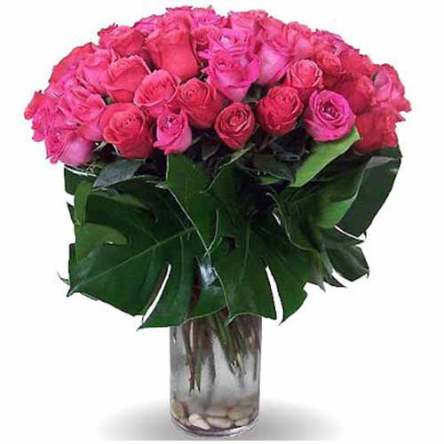 Dark Pink Roses Vase
