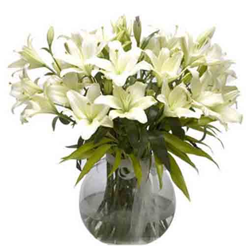 White Lily in Vase