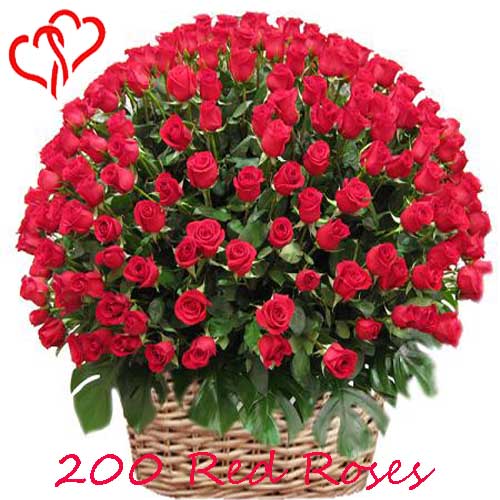 200 Red Roses Basket