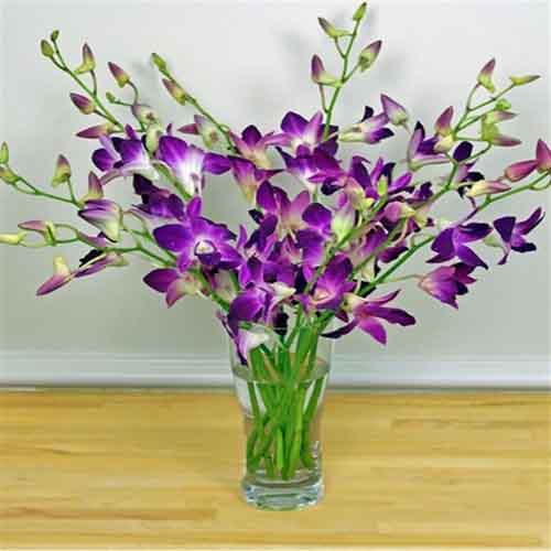 Orchid  Vase