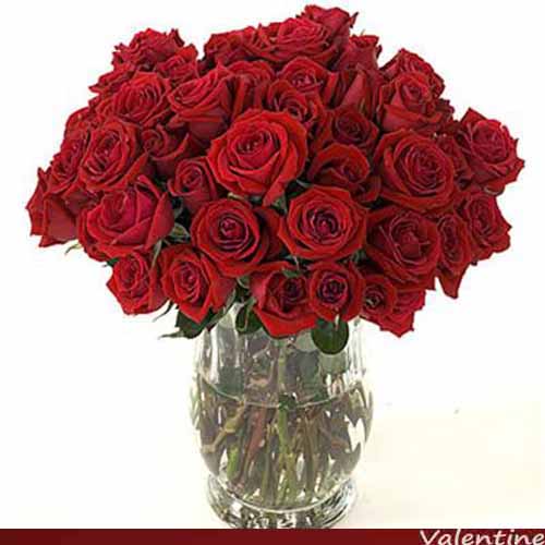 50 Red Roses in Vase