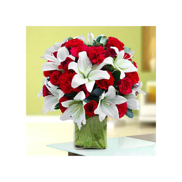 Treasurable Beauty Treasurable Beauty