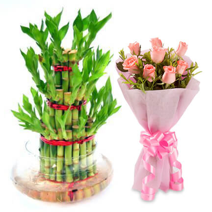 pinky roses and bamboo plant