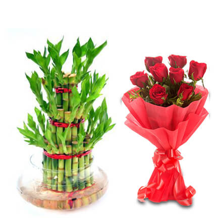 3 layer bamboo with roses