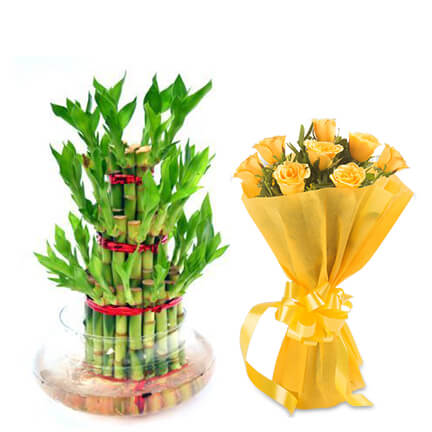 bamboo plant with roses