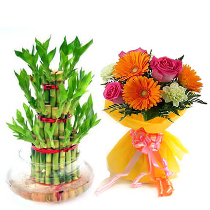 heart 2 heart heart 2 heart