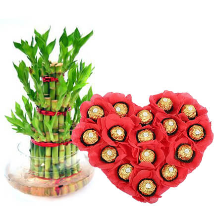 bamboo plant with ferrero rocher bamboo plant with ferrero rocher