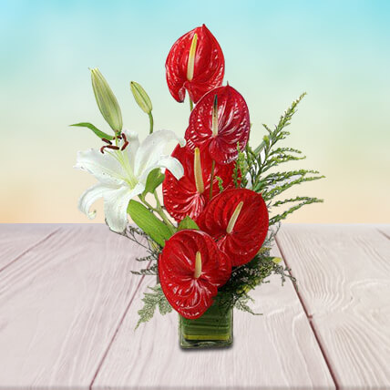 Dare To Love Dare To Love