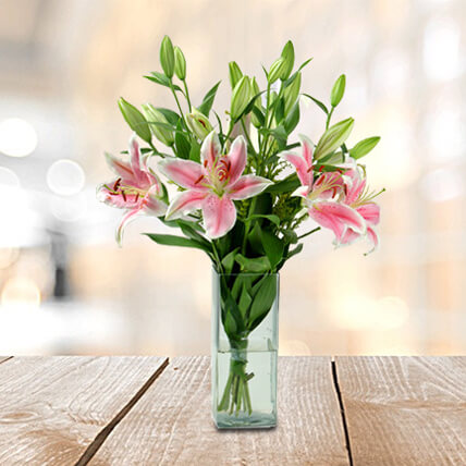 I Am In Love I Am In Love