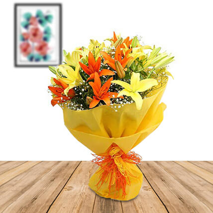 Color Me Up Color Me Up