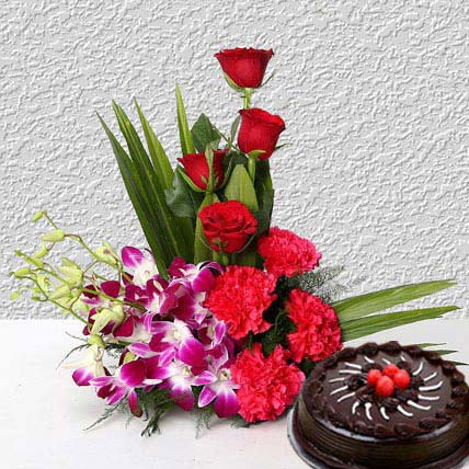 Inspiration Deluxe Inspiration Deluxe