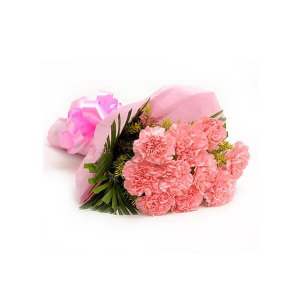 Pink Carnations N Love