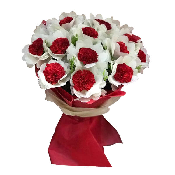 carnations Love