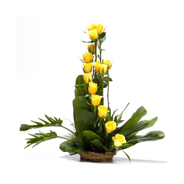 Bright emotions Bright emotions