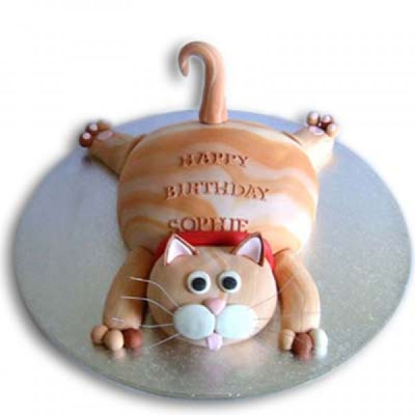 Tabby Cat Cake 2kg