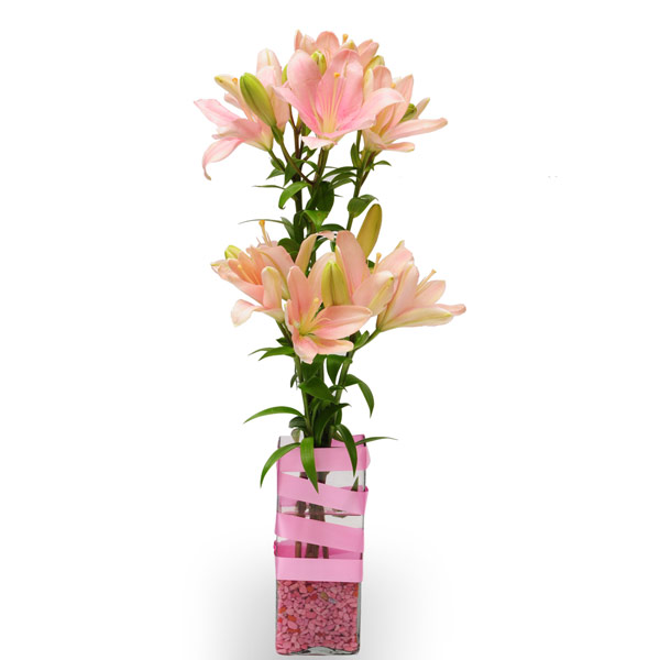 Thinking of you-VL Thinking of you-VL