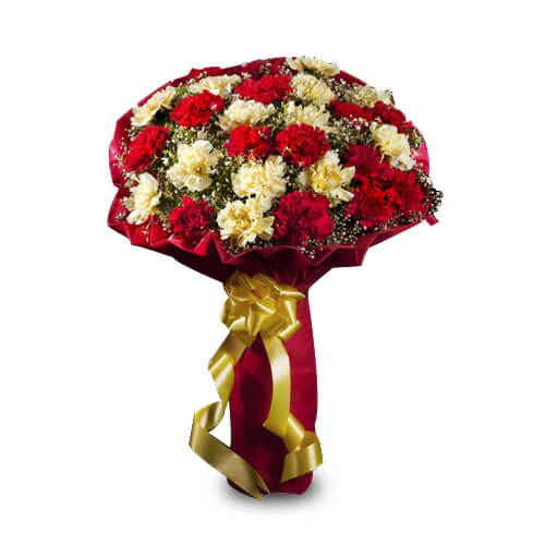 Sunshine Express-VL Sunshine Express-VL