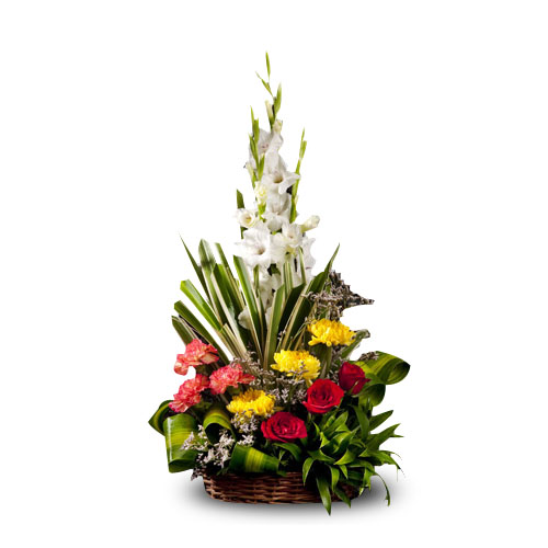 Memorable Moments-VL Memorable Moments-VL