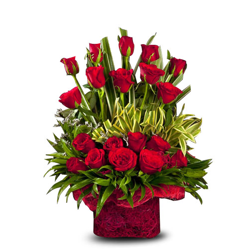 Heart onFire-VL Heart onFire-VL