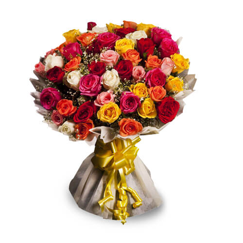 Opulence-VL Opulence-VL