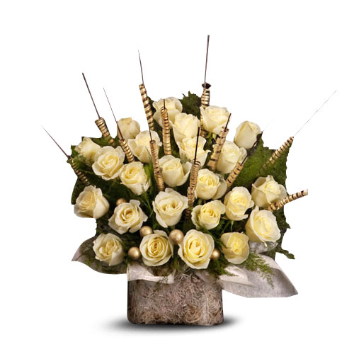 Simply Classy-VL Simply Classy-VL