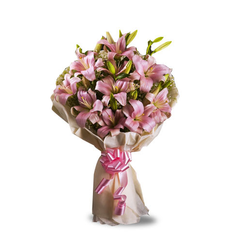 My Fair Lady-VL My Fair Lady-VL