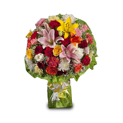 Color Blast-VL Color Blast-VL