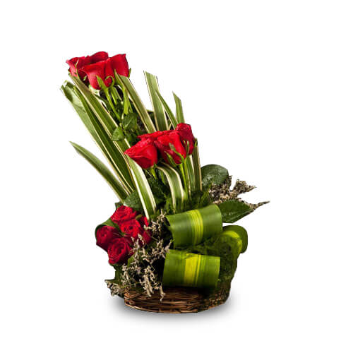 Lure Desire-VL Lure Desire-VL